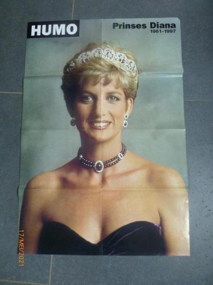 boek: Diana's boys:Christ.Andersen+Prinses Diana 1961-1997, Verzamelen, Koningshuis en Royalty, Zo goed als nieuw, Tijdschrift of Boek