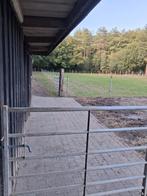 Sralling met 24 /7 vruje weidegang en buitenpiste, Dieren en Toebehoren, Weidegang