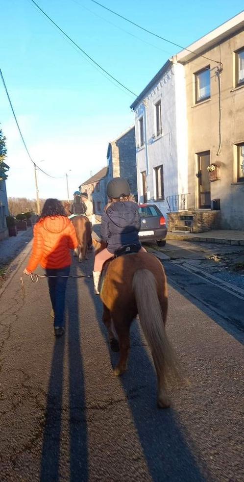 Balade sur les poneys/cheval tenus initiation, Animaux & Accessoires, Chevaux & Poneys | Produits de soin, Comme neuf, Enlèvement ou Envoi