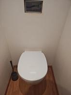 Hang toilet, Doe-het-zelf en Bouw, Sanitair, Ophalen, Zo goed als nieuw, Steen, Toilet