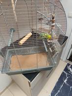Eén vogel met een kooi, Dieren en Toebehoren, Ophalen of Verzenden, Zo goed als nieuw