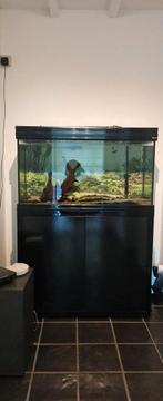 Aquarium op kast, Ophalen, Zo goed als nieuw