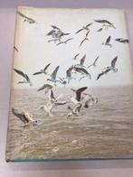Artis historia boek - Het Zwin, Boeken, Ophalen of Verzenden, Zo goed als nieuw, Prentenboek