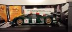 1/18 porsche 911 GT1 Zakspeed FIA GT 1998 Maisto GT Racing, Enlèvement ou Envoi, Neuf, Voiture, Maisto