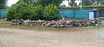 Rotsen natuurstenen, Tuin en Terras, Ophalen, Gebruikt