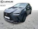 Lexus NX 450h+ Executive Line, Overige kleuren, 2487 cc, 137 kW, Bedrijf