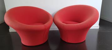 2 Pierre Paulin Mushroom Artifort fauteuils beschikbaar voor biedingen