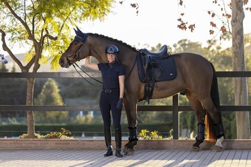 LeMieux Self-Cool Mesh dressuur dekje Navy SALE -35%!!, Dieren en Toebehoren, Paarden en Pony's | Dekens en Dekjes, Nieuw, Dekje