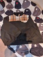 In super perfecte staat pullover 
Maat 3XL 

Spijtig maar 1x, Ophalen of Verzenden, Zo goed als nieuw