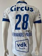 Match issued shirt Matias Fernandez Pardo, Verzamelen, Sportartikelen en Voetbal, Ophalen of Verzenden, Nieuw, Shirt