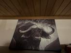 Canvas stier, Ophalen, Zo goed als nieuw