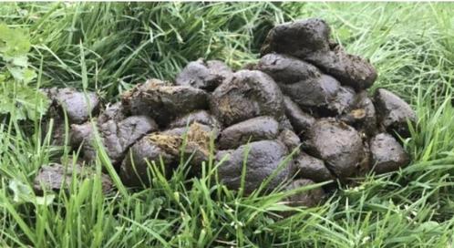 Biologische ezelmest, Tuin en Terras, Aarde en Mest, Mest, Ophalen