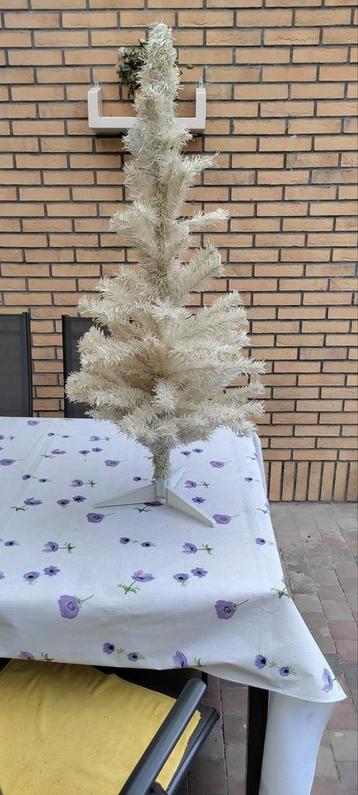 Sapin blanc  beschikbaar voor biedingen