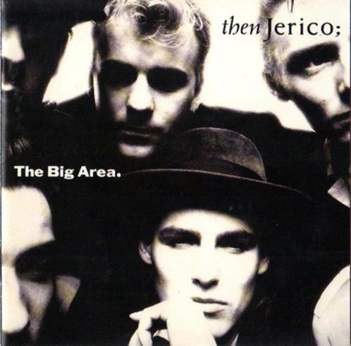 Then Jerico – The Big Area (LP/GEBRUIKT), CD & DVD, Vinyles | Rock, Utilisé, Alternatif, Enlèvement ou Envoi