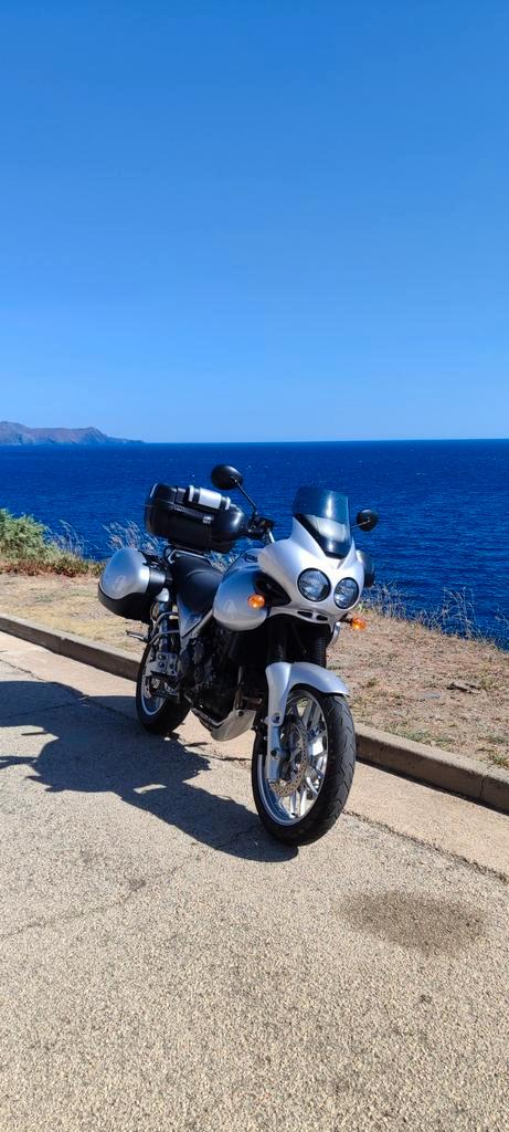 Triumph Tiger 955i, Motoren, Motoren | Triumph, Particulier, Ophalen