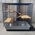 DIY ratten / fretten / knaagdierenkooi – 80x80x48 cm, Ophalen, Kooi, Gebruikt, 75 tot 110 cm