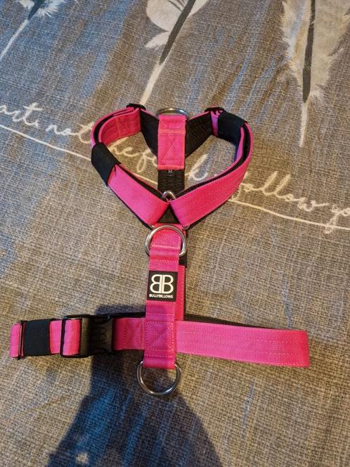 Hondenharnas + leiband BullyBillows, Dieren en Toebehoren, Honden-accessoires, Zo goed als nieuw, Ophalen