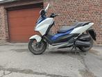 Honda Forza 125cc, Motoren, Scooter, Particulier, 125 cc, 11 kW of minder