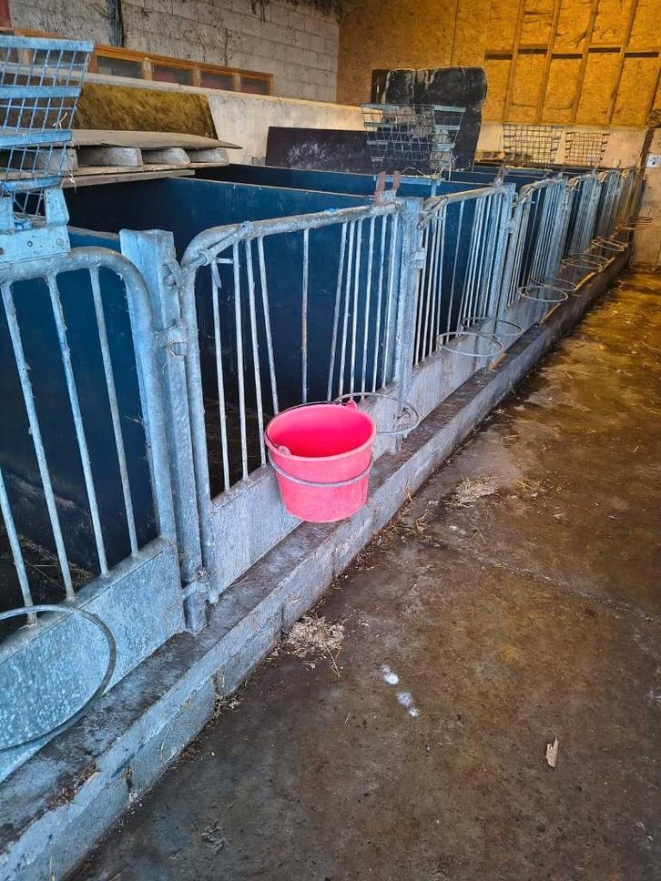 kalverhokjes en weidedrinkbak koeien, Dieren en Toebehoren, Runderen