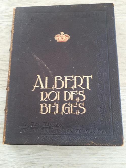 Albert roi des belges, Boeken, Geschiedenis | Nationaal, Gelezen, Ophalen of Verzenden