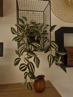 Decoratief hangplantje, Ophalen of Verzenden, Zo goed als nieuw