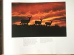 Wildlife of north america Thomas A Lewis, Boeken, Natuur, Ophalen of Verzenden, Nieuw, Natuur algemeen