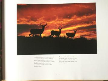Wildlife of north america Thomas A Lewis beschikbaar voor biedingen
