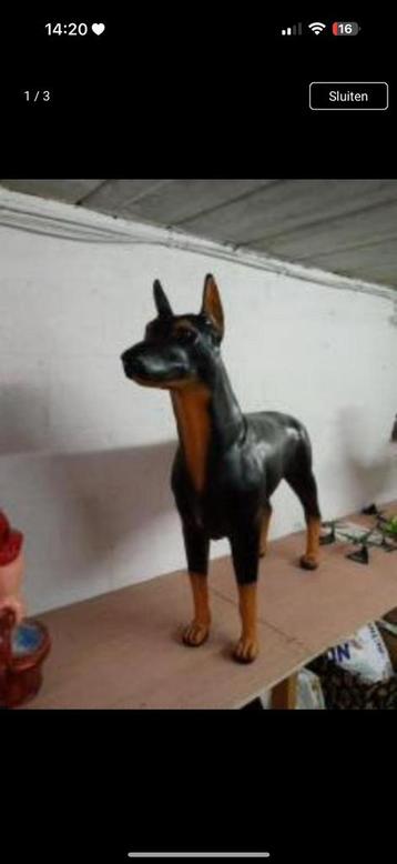 Honden beelden beschikbaar voor biedingen