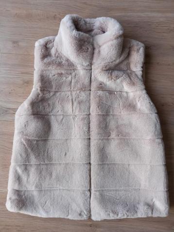 Nieuwe pels bodywarmer, maat s/m beschikbaar voor biedingen