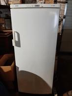 diepvriezer, Elektronische apparatuur, Vriezers en Diepvrieskisten, Zo goed als nieuw, 140 tot 160 cm, Ophalen, Vrieskast