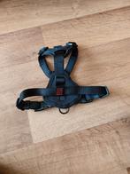 Y Tuigje hond beeztees parinca S, Dieren en Toebehoren, Ophalen, Nieuw