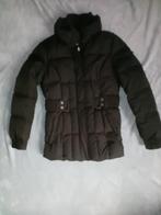 Doudoune courte femme esprit F 40, Vêtements | Femmes, Esprit, Enlèvement, Taille 38/40 (M), Noir