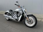 V-Rod aluminium, Motoren, Motoren | Harley-Davidson, Bedrijf, 2 cilinders, Chopper, Meer dan 35 kW
