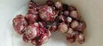 Bio aardperen vers geoogst. Prijs per kg., Ophalen of Verzenden