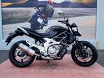 SUZUKI GLADIUS 650 Garantie 1 ou 2 ans MOTOSD, Motoren, Motoren | Suzuki, 2 cilinders, Motorrijbewijs A, Bedrijf, Meer dan 35 kW