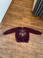 H&M Harry Potter Hogwarts trui 134-140 / 8-10 jaar, Kinderen en Baby's, Kinderkleding | Maat 134, Ophalen of Verzenden, Zo goed als nieuw