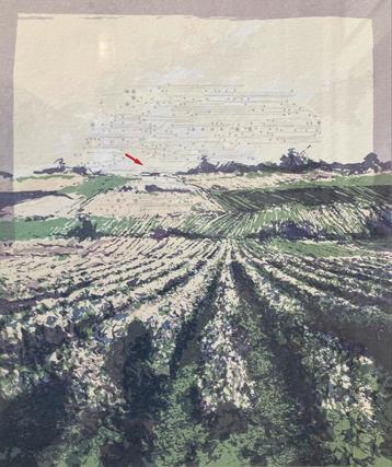 Zeefdruk Martin R. Baeyens (1943) Landschap, Enlèvement ou Envoi