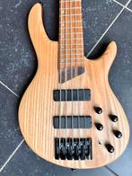 Cort B5, Muziek en Instrumenten, Snaarinstrumenten | Gitaren | Bas, Ophalen, Zo goed als nieuw, Elektrisch, 5-snarig