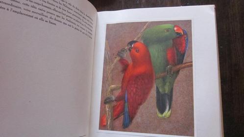 5 volumes oiseaux Ornithologie Chasse Congo nature faune, Livres, Nature, Oiseaux, Enlèvement ou Envoi