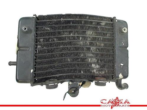 RADIATEUR Honda XL 600 V Transalp 1991-1993 (XL600V PD06), Motoren, Onderdelen | Honda, Gebruikt