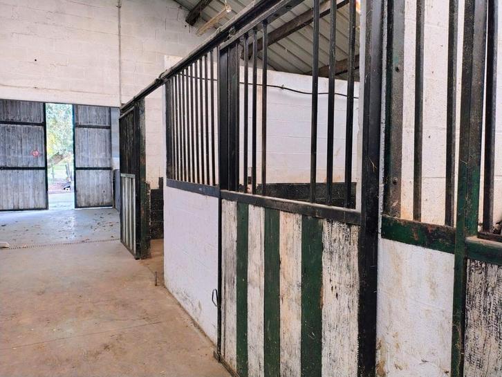 Location de box, Dieren en Toebehoren, Stalling en Weidegang
