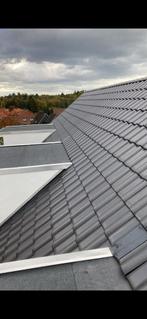 Dakdekker & Timmerman, Doe-het-zelf en Bouw, Dakpannen en Dakbedekking, Ophalen of Verzenden, Dakpannen