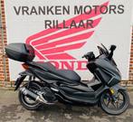 Honda Forza 125 (moteur BTW) /NSS125/Forza, Scooter, Entreprise, Contrôle de traction, 1 cylindre