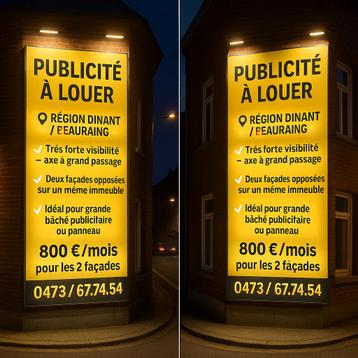  PUBLICITÉ À LOUER – RÉGION DINANT / BEAURAING beschikbaar voor biedingen