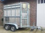 BW Geremde paardentrailer - aanhangwagen 250 x 200 x 122 cm, Overige materialen, Gebruikt, 1-paards trailer, Ophalen