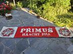 Primus Haacht Festivalbanner, Ophalen of Verzenden, Gebruikt, Reclamebord, Plaat of Schild, Overige merken
