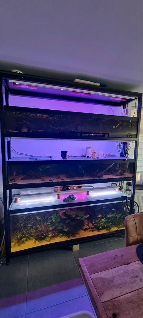 Aquarium stelling met vissen moet snel weg, Dieren en Toebehoren, Vissen | Aquaria en Toebehoren, Zo goed als nieuw, Ophalen