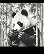 diamond painting zwart witte panda vierkante steentjes 50x50, Hobby en Vrije tijd, Knutselen, Ophalen of Verzenden, Nieuw, Knutselwerk