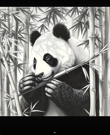 diamond painting zwart witte panda vierkante steentjes 50x50 beschikbaar voor biedingen