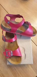 Plakton leren sandalen - Maat 31, Kinderen en Baby's, Kinderkleding | Schoenen en Sokken, Gebruikt, Plakton, Jongen of Meisje